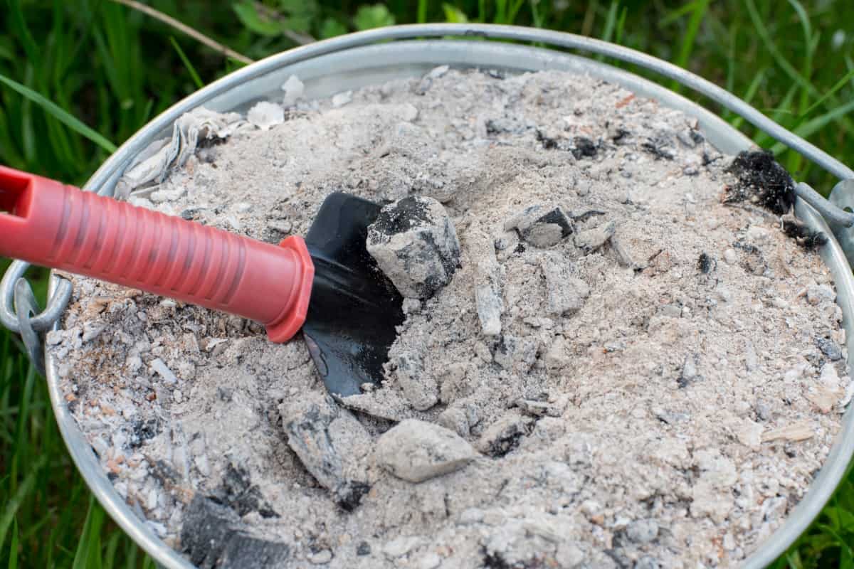 A BBQ full of charcoal ash, with a red handled trowel dug into.