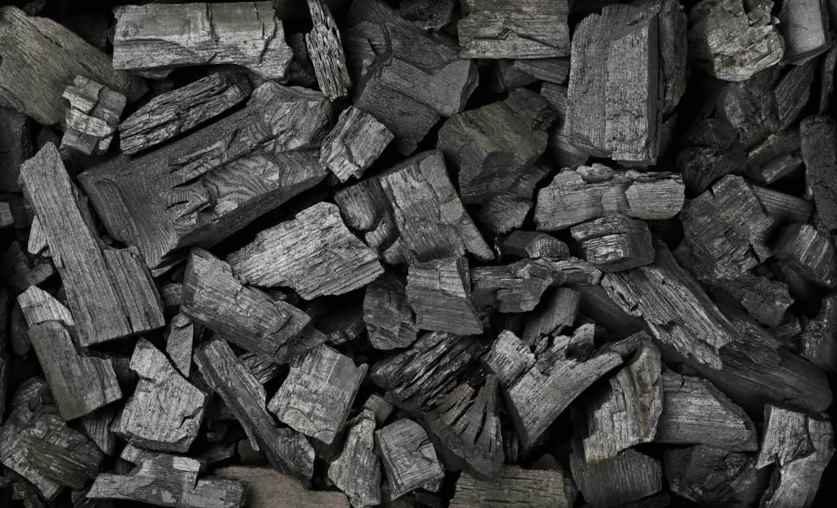 Lump Charcoal vs Briquettes — Which is Better, When, and Why?