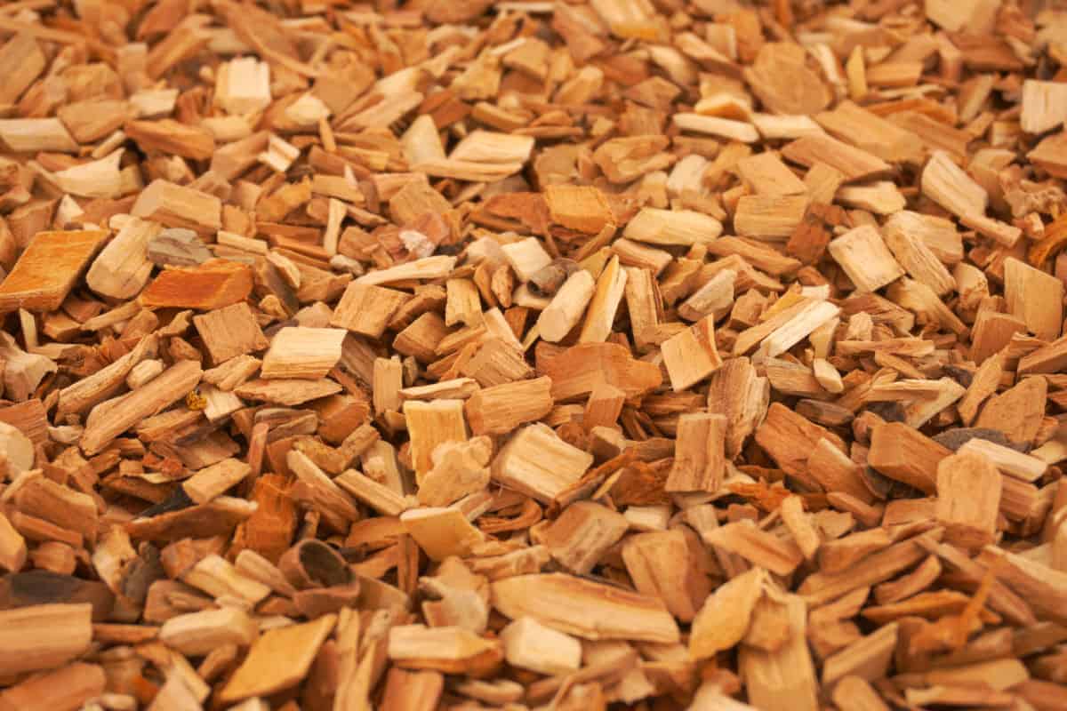 2lb Bag BBQ Pit Boys Smoking Wood Chips - Coarse Kiln Dried BBQ Chips 100% All Natural Coarse Wood Smoker Shavings Hickory 