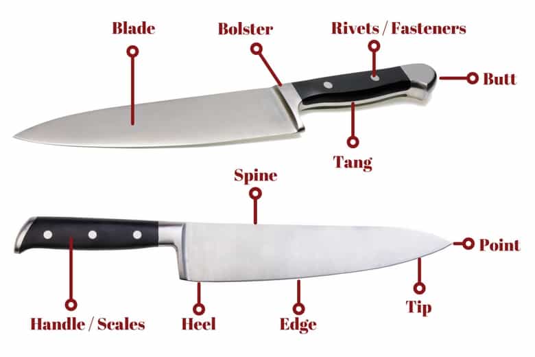  Diagram of a kitchen knife isolated on white with the parts of a knife indicated with text and arr.
