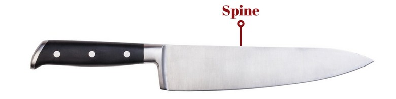 Kitchen knife isolated on white marked up with text and arrow to show the spine