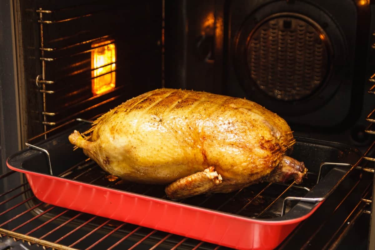 duck in dish at low temp in o.