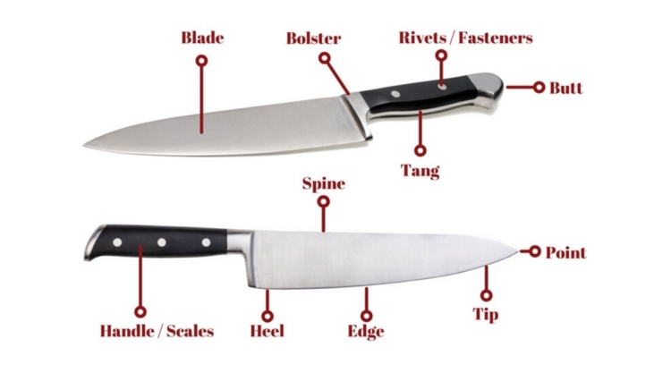 Diagram showing the parts of a knife.
