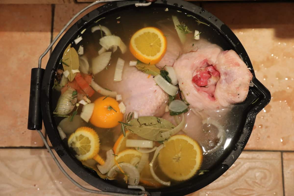 Top view of a turkey in brine, containing orange, onion, bay leaf, and a few other bits.