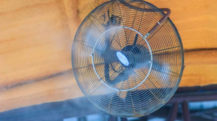 A wall mounted outdoor misting fan blowing a fine mist of cooling air