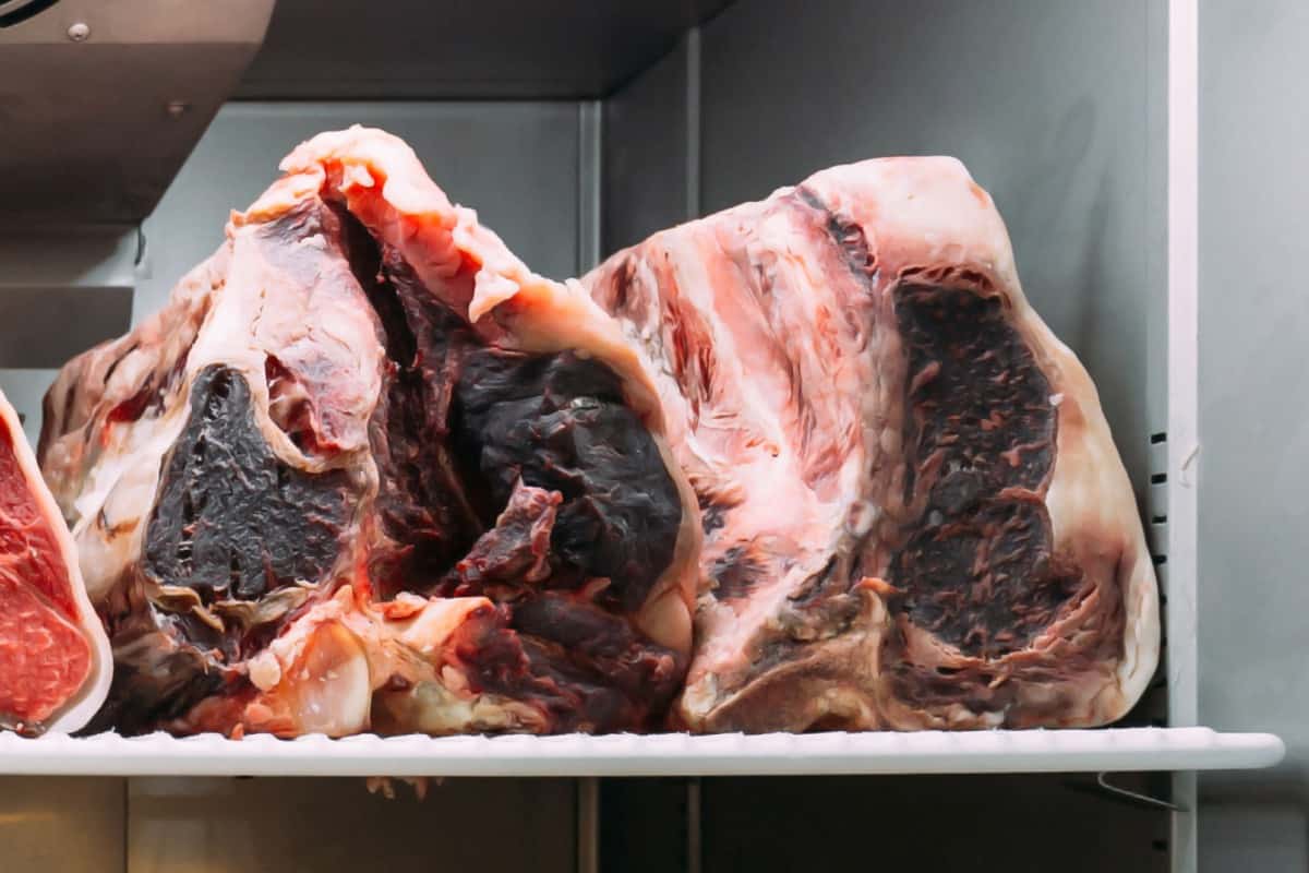 dry-aged Wagyu ribs of beef in a dry aging cabinet