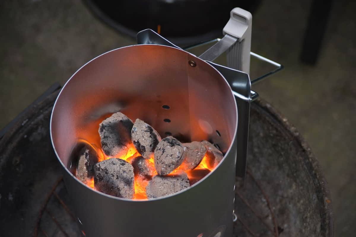 My burning shame: I fitted my house with three wood-burning stoves, George  Monbiot