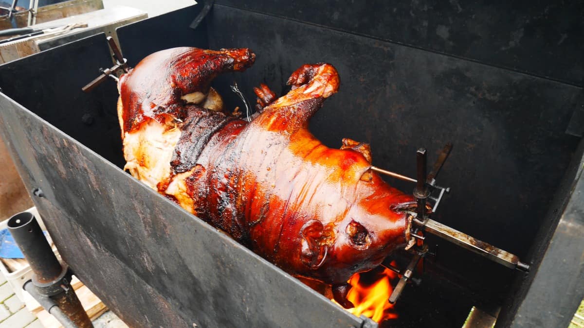 A whole hog on a spit, inside a pig roaster .