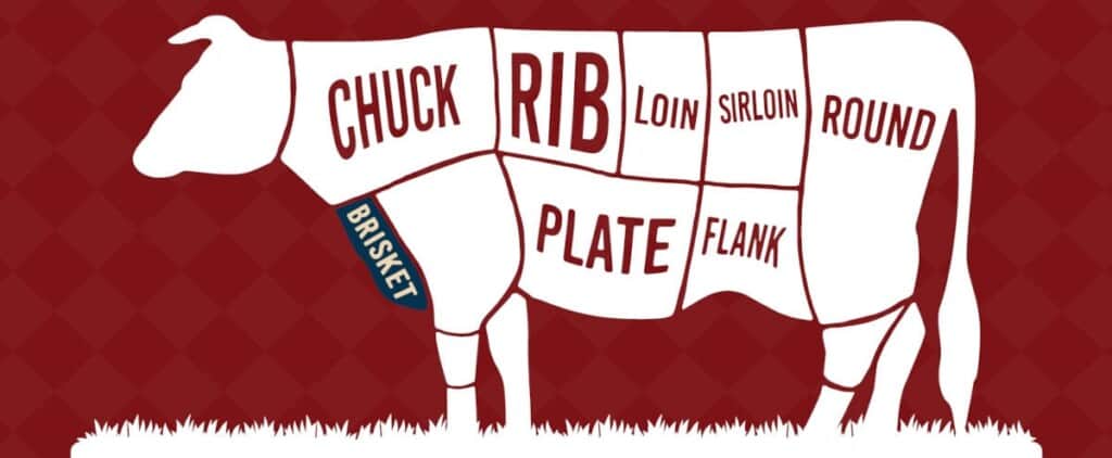 Diagram showing the brisket primal on a cow