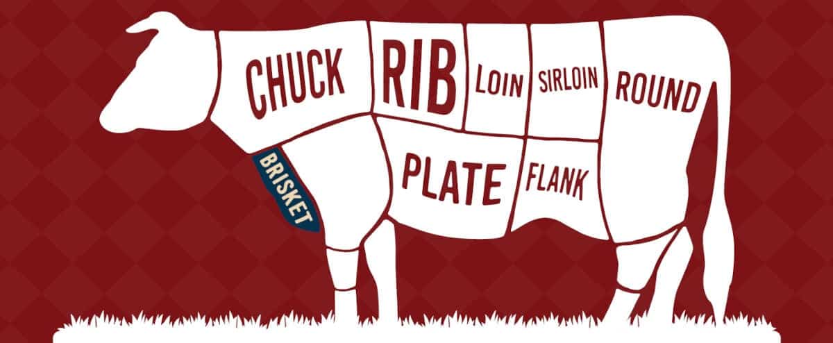 Diagram showing the brisket primal on a cow