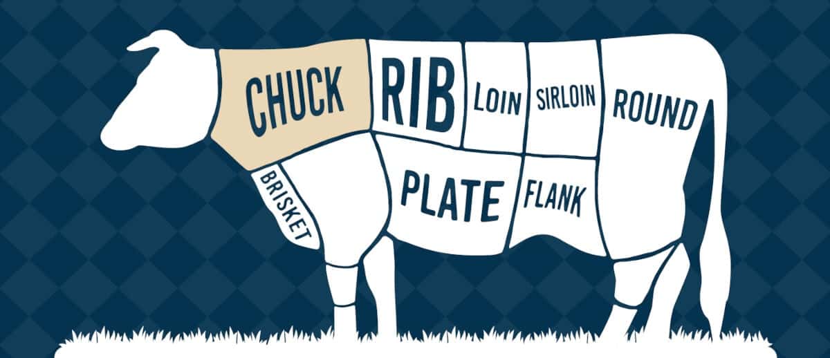 Diagram showing the chuck primal on a cow