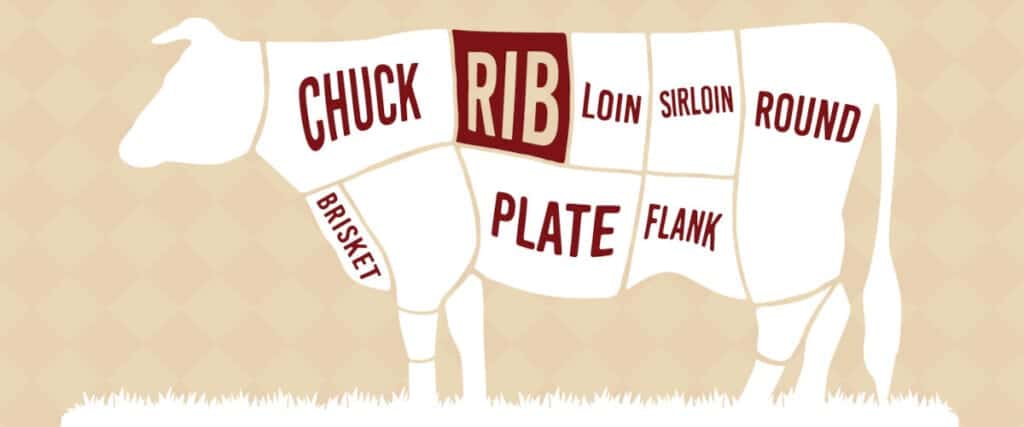 Diagram showing the rib primal on a cow