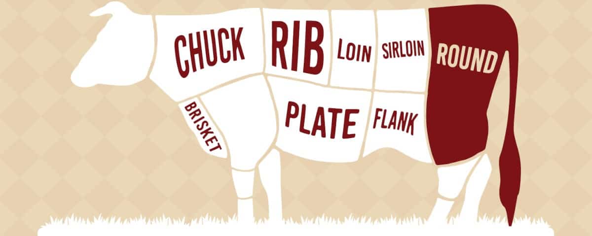 Diagram showing the round primal on a cow
