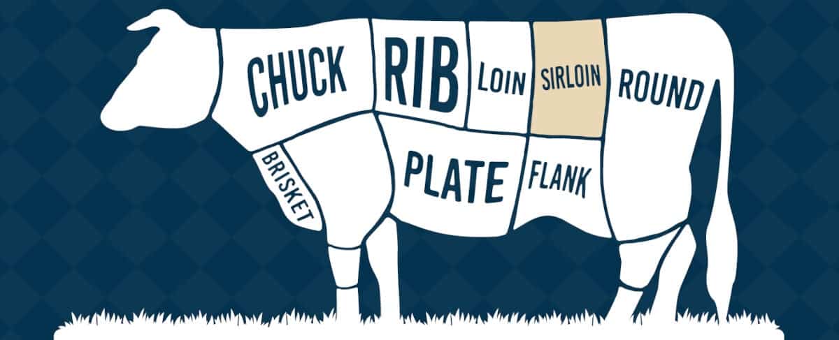 Diagram showing the sirloin primal on a cow