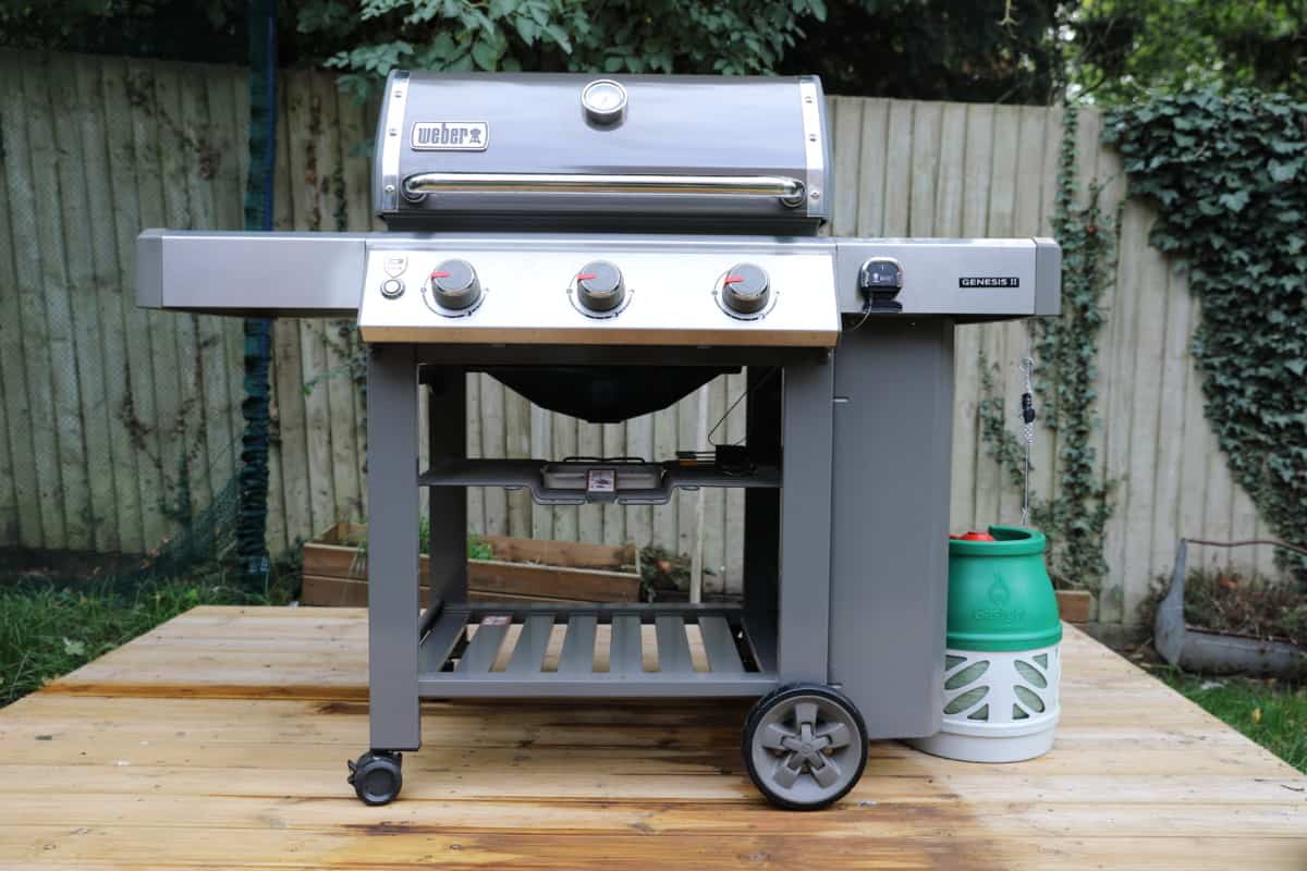 gidsel skab Fortov Weber Genesis II E-310 Review — is This the Gas Grill for You?