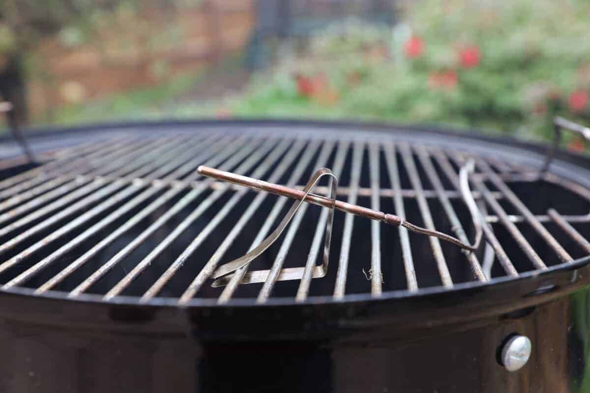 ThermoPro TP-08 Review: The Best Budget BBQ Thermometer? - Smoked BBQ Source