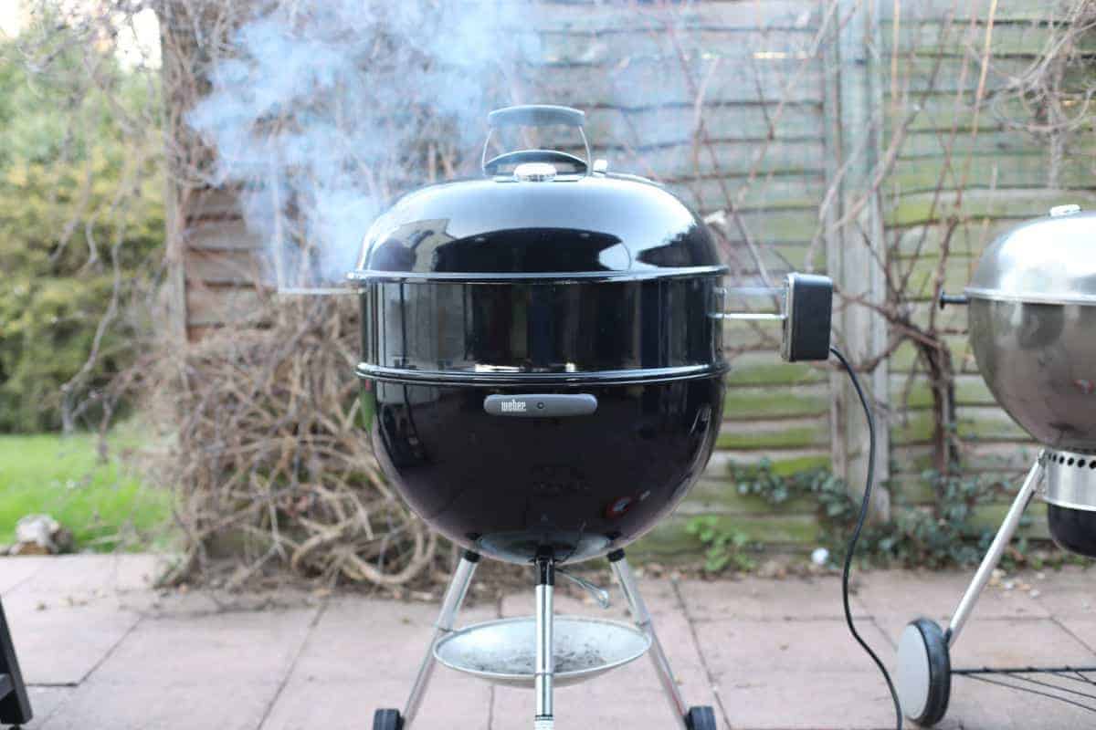 Begrijpen Whitney Absorberend Weber Original Kettle 22 Inch Charcoal Grill Review