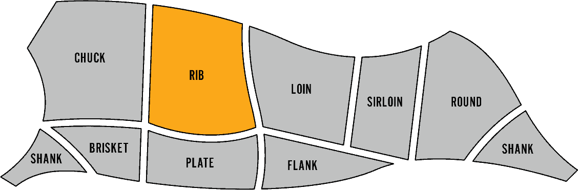 Diagram showing the beef primal that ribeye comes from