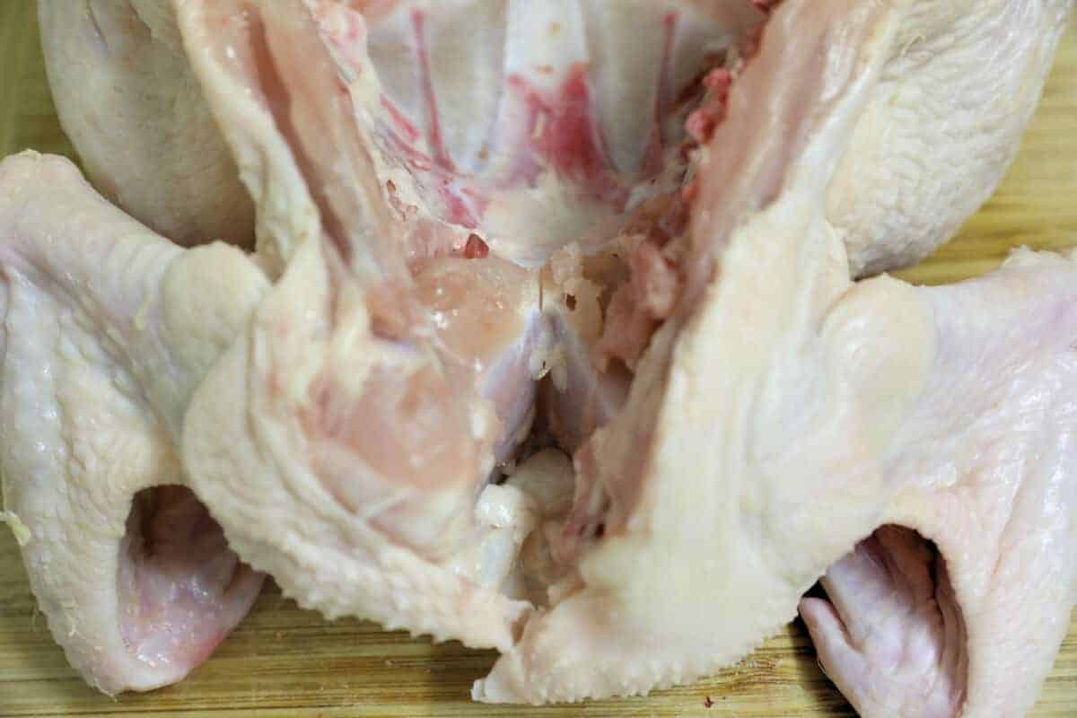 the v shaped cartilage in a chicken breastbone