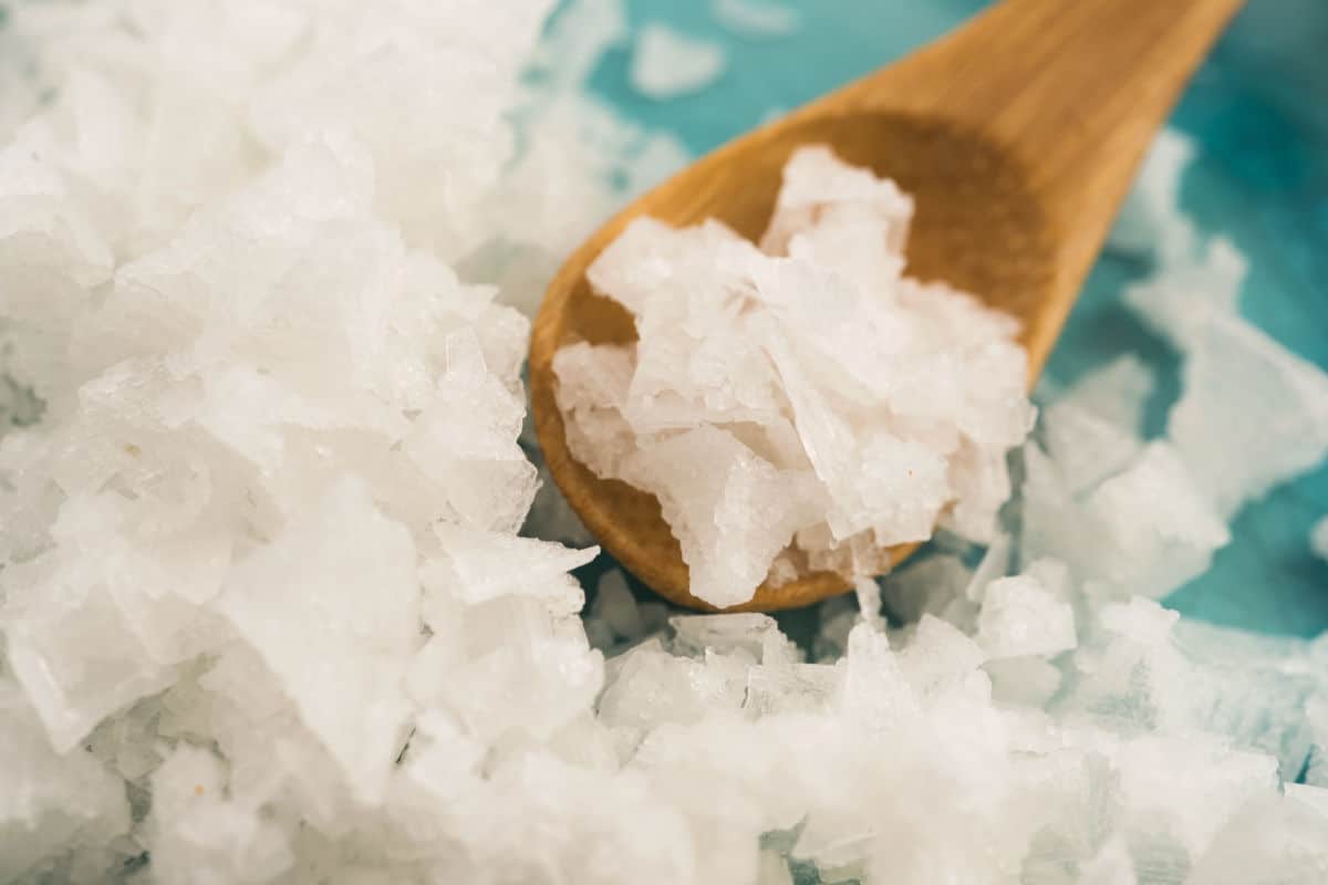 Fleur de sel pyramid salt on a wooden sp.