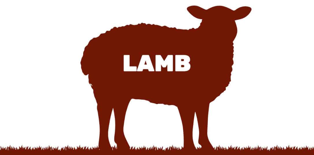 graphic of lamb written inside a silhouette of a l.