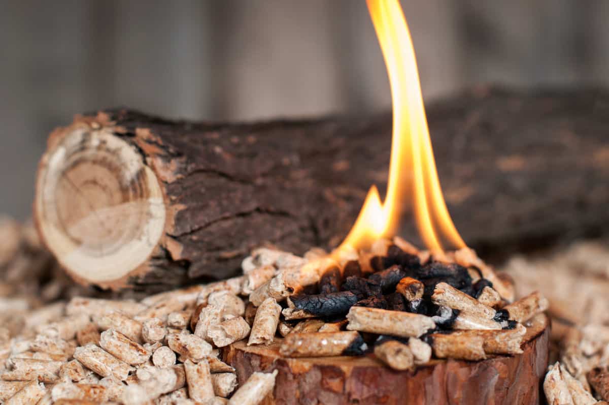 A thick tree branch covered in bark, behind some burning wood pell.