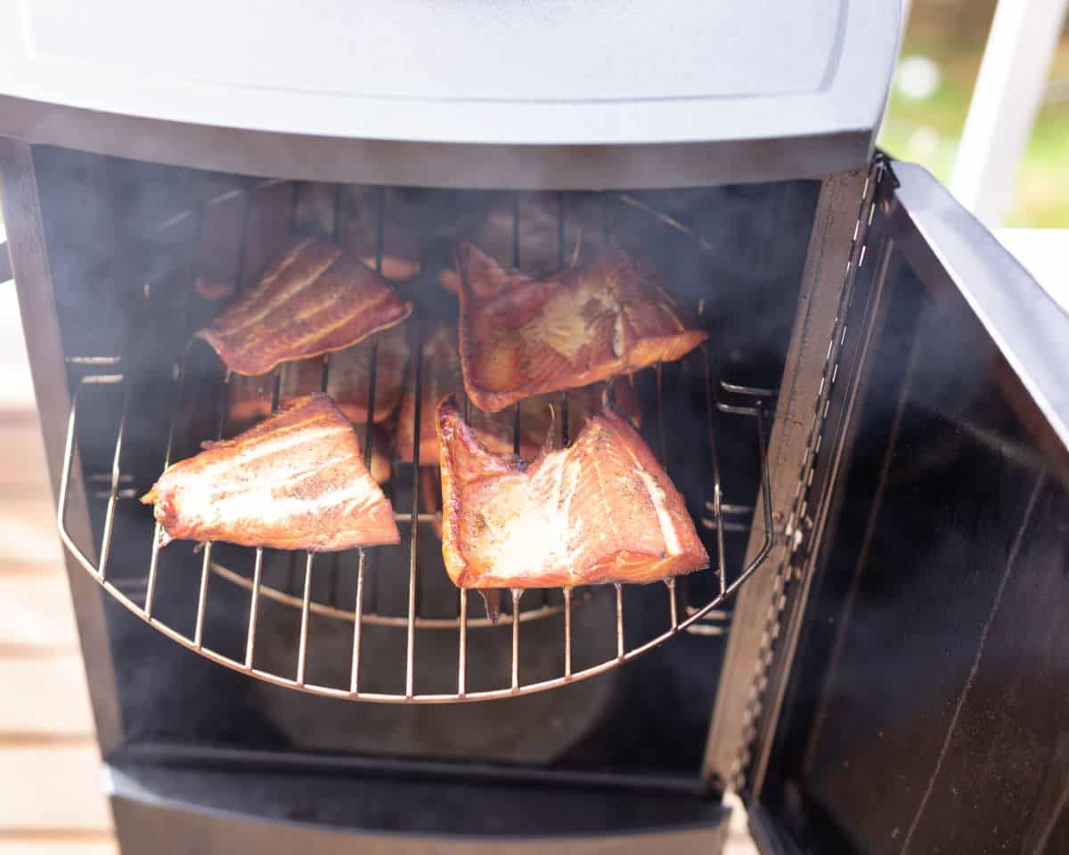 https://www.foodfirefriends.com/wp-content/uploads/2021/03/salmon-in-a-propane-smoker.jpg