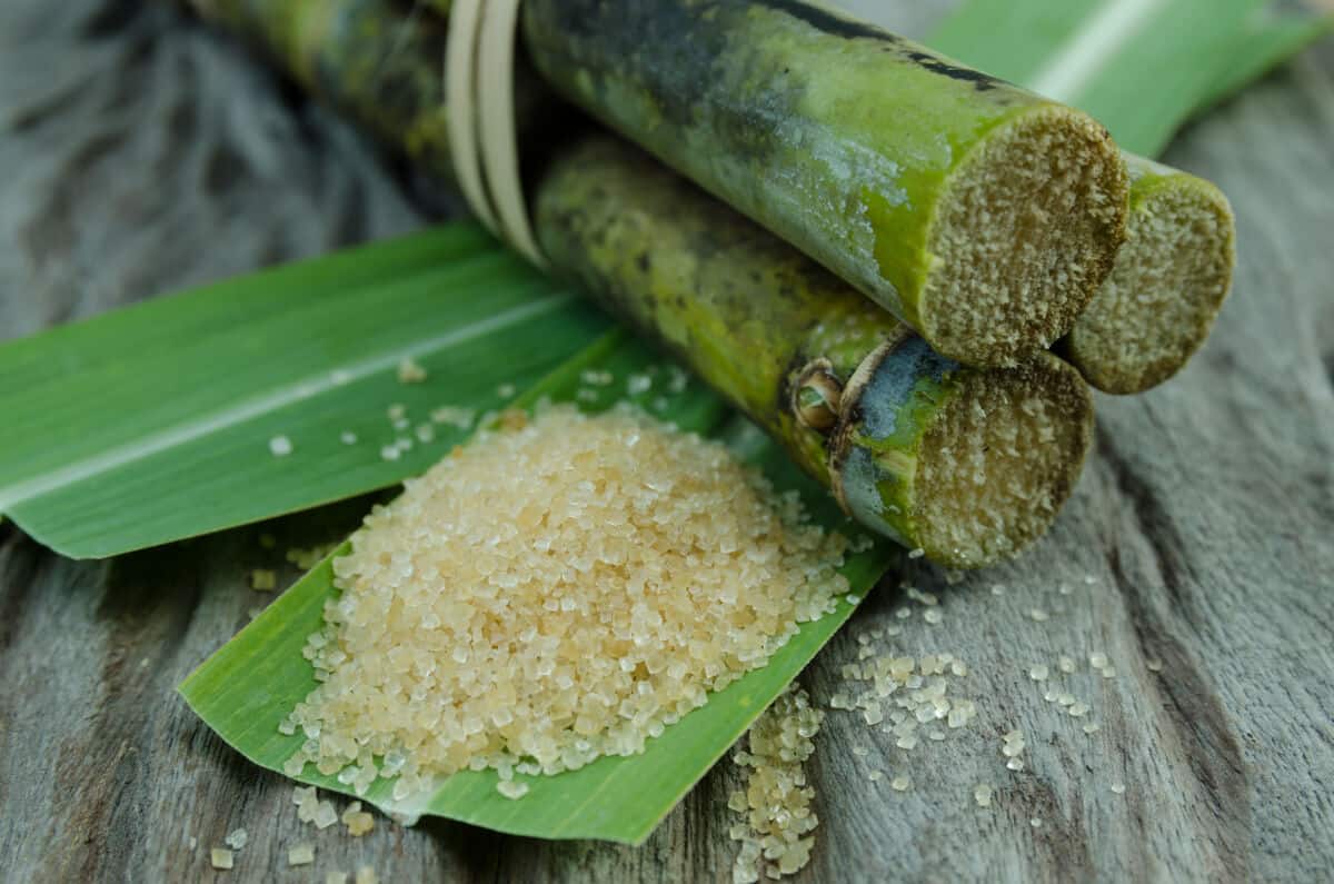 Cane sugar on a cane leaf, next to some sugar cane segme.