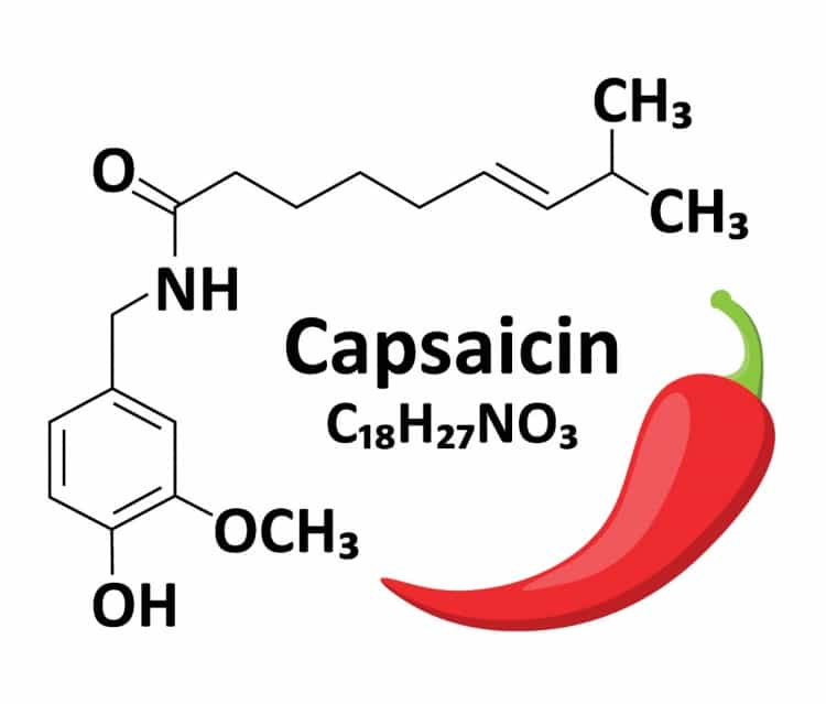 Capsaicin chemical formula next to a vector pic of a ch.