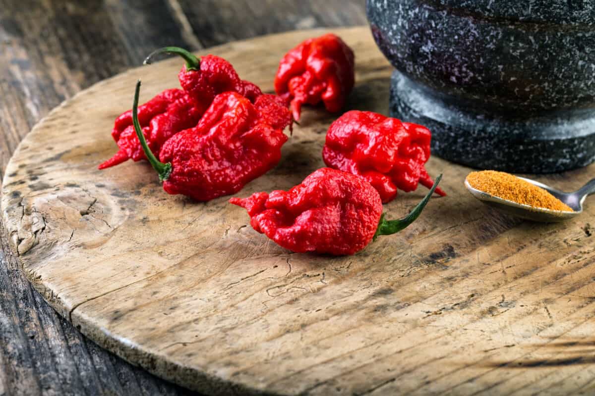 A handful of Carolina Reaper chilies on a wooden cutting board next to a pestle and metal spoonful of ground sp.