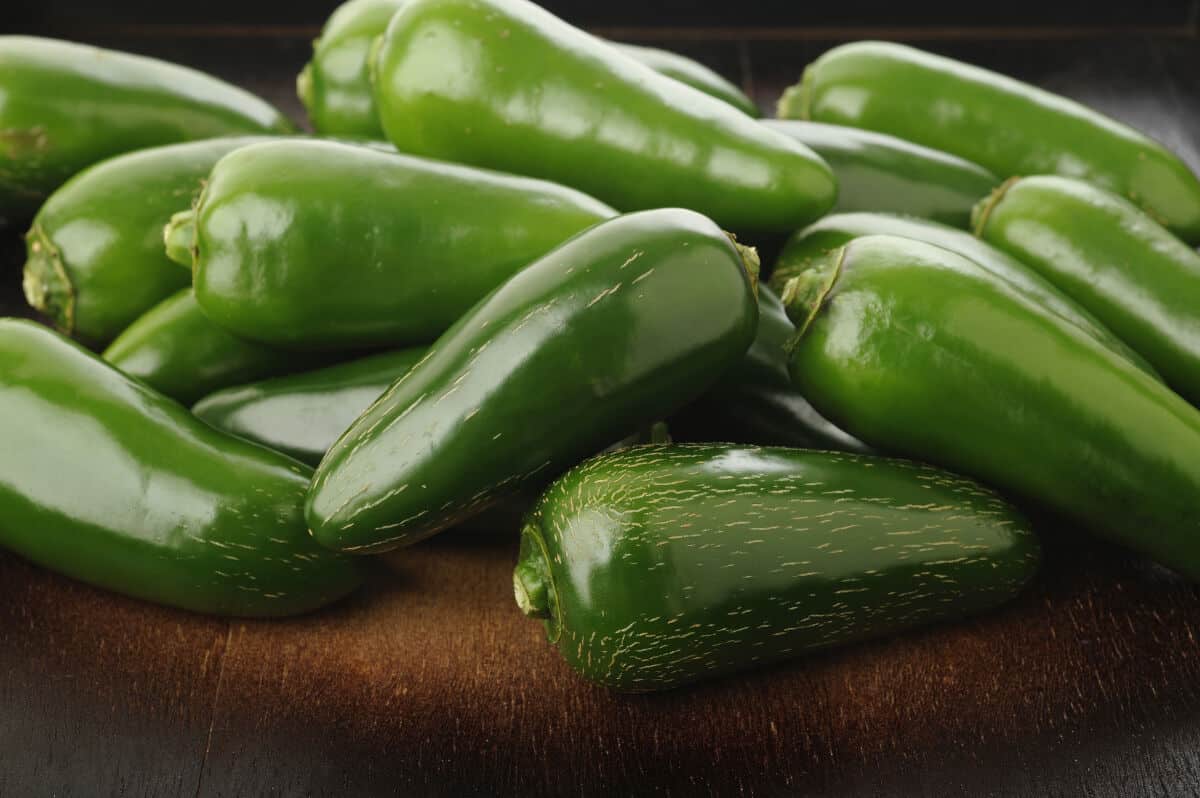 Close up of a pile of fresh jalapeño pepp.