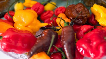 A bowl full of many types of chili peppers.