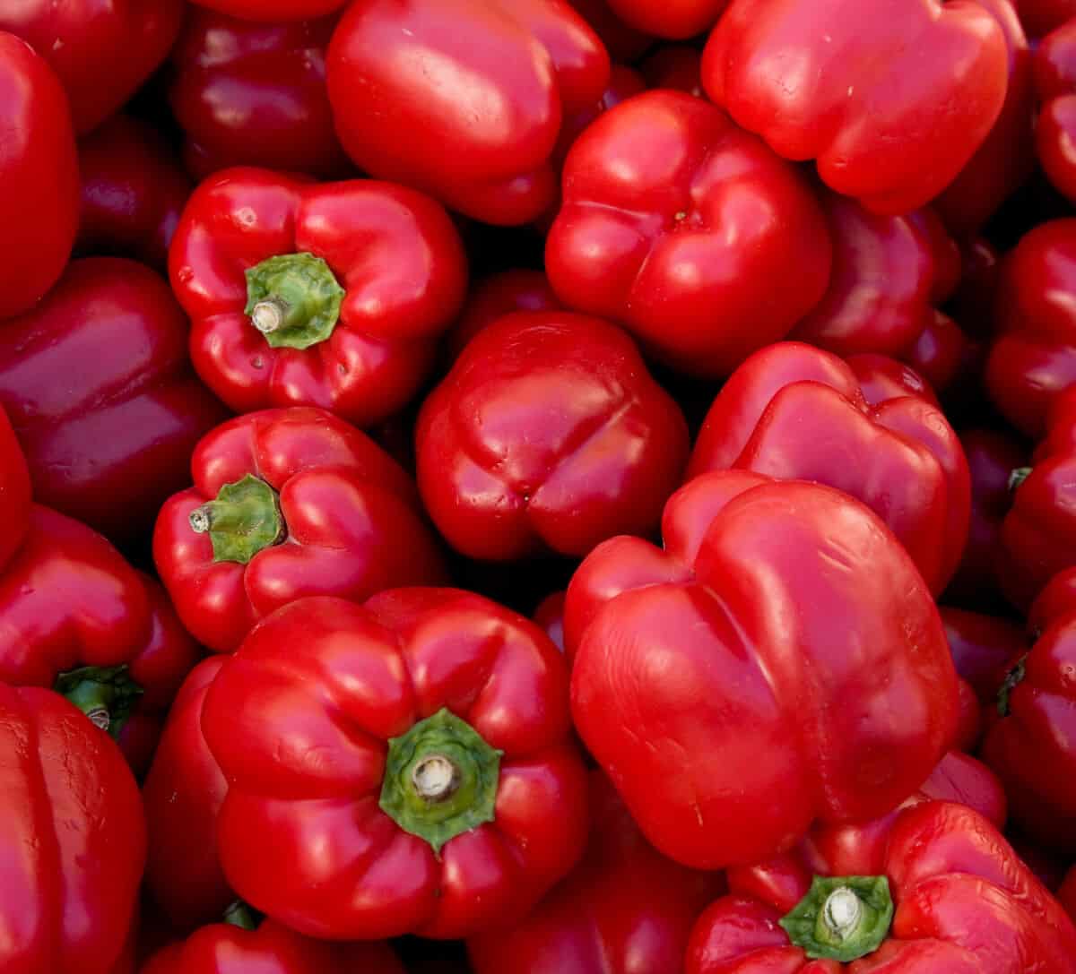 Overhead shot of a load of pimento pepp.