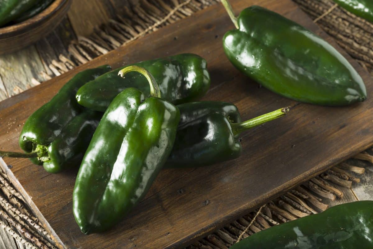 poblano ancho chilies on a dark wooden bo.