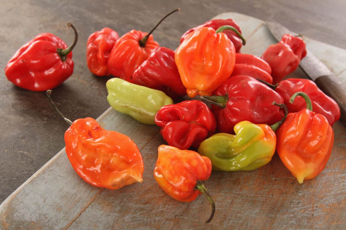  Different colored scotch bonnet chilies on a wooden surf.