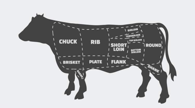 An illustration of the eight beef primals on a diagram of a cow.