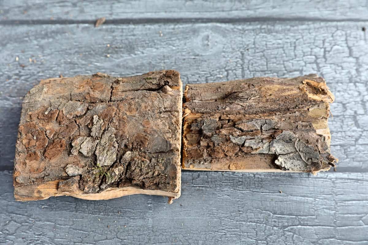 Two pieces of apple wood, giving an indication of what the bark looks like.