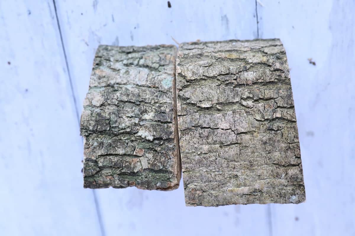 Two pieces of ash, bark side up, on a light colored table.