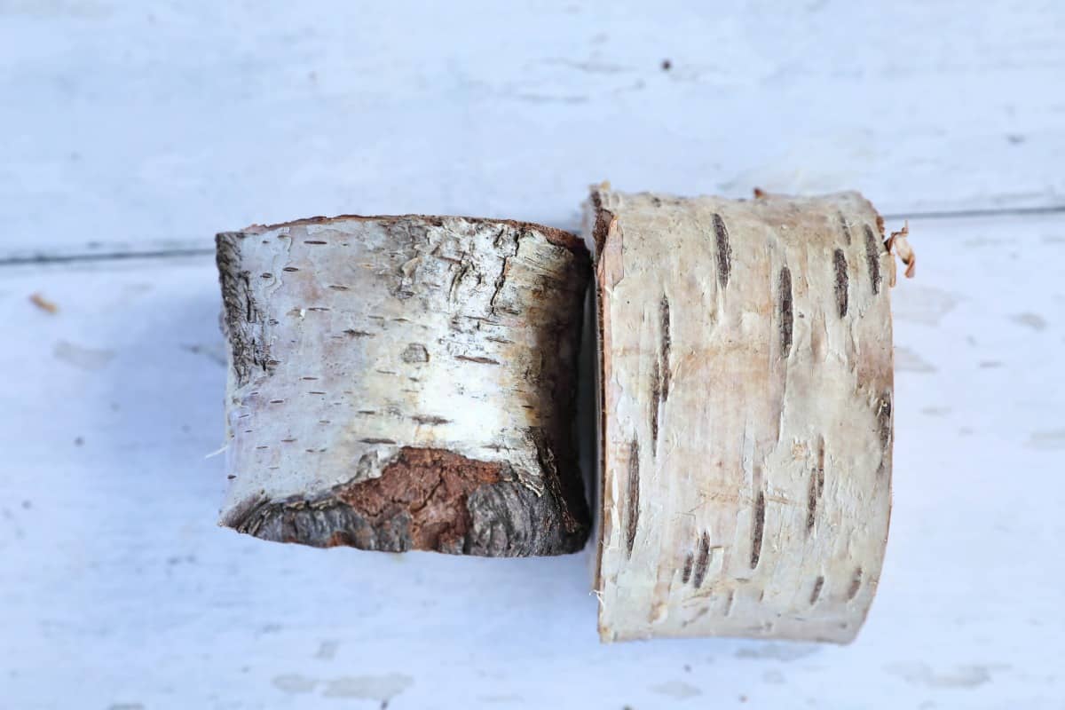 Two chunks of birch sitting on a white wooden table.