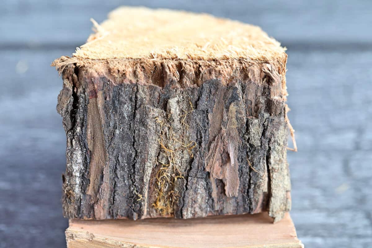 A close up of a hickory wood chunk, showing us the bark in detail.