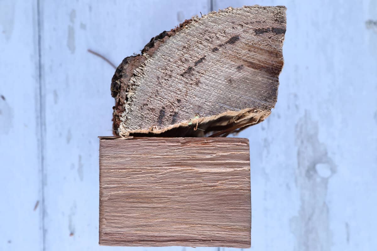 Two chunks of pecan wood on a white surface.