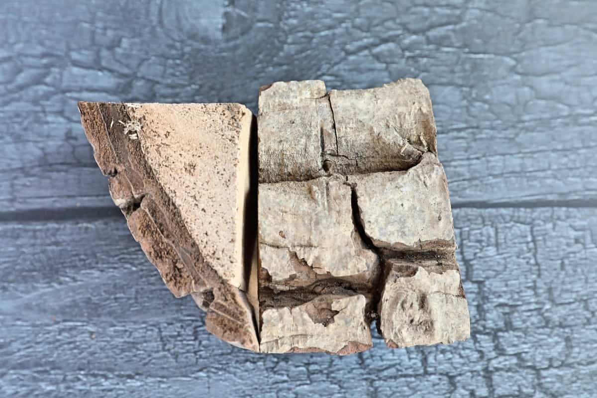 Close up of two walnut wood chunks, arranged to show us the bark in detail.