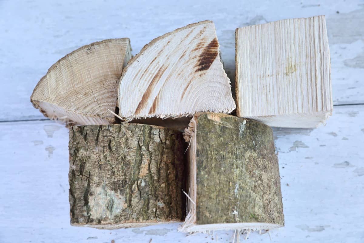 Five ash wood chunks on a white table, some with bark on, some n.