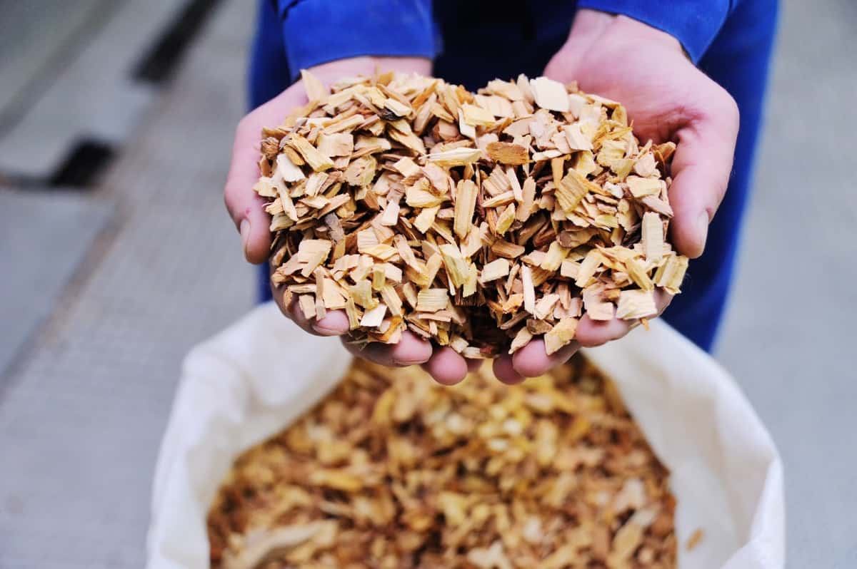 A womans hands holding a pile of smoking wood ch.