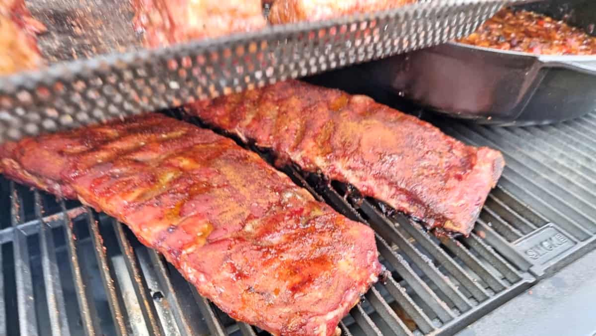 Ribs in a Masterbuilt Gravity Series.