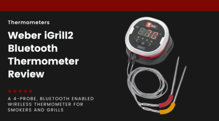 A Weber iGrill 2 isolated on black, next to text describing this article as a review.