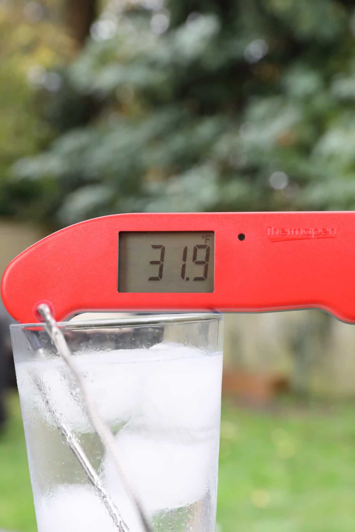 Thermapen One instant read thermometer in ice water, displaying 31.9 degrees Fahrenheit