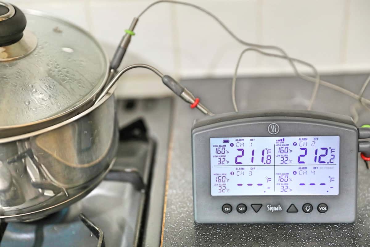 Thermoworks Signals with two temperature probes in a pan of boiling water.