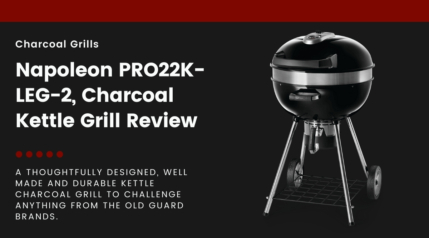 A Napoleon PRO22K-LEG-2 isolated on black, next to text describing this article as a review.