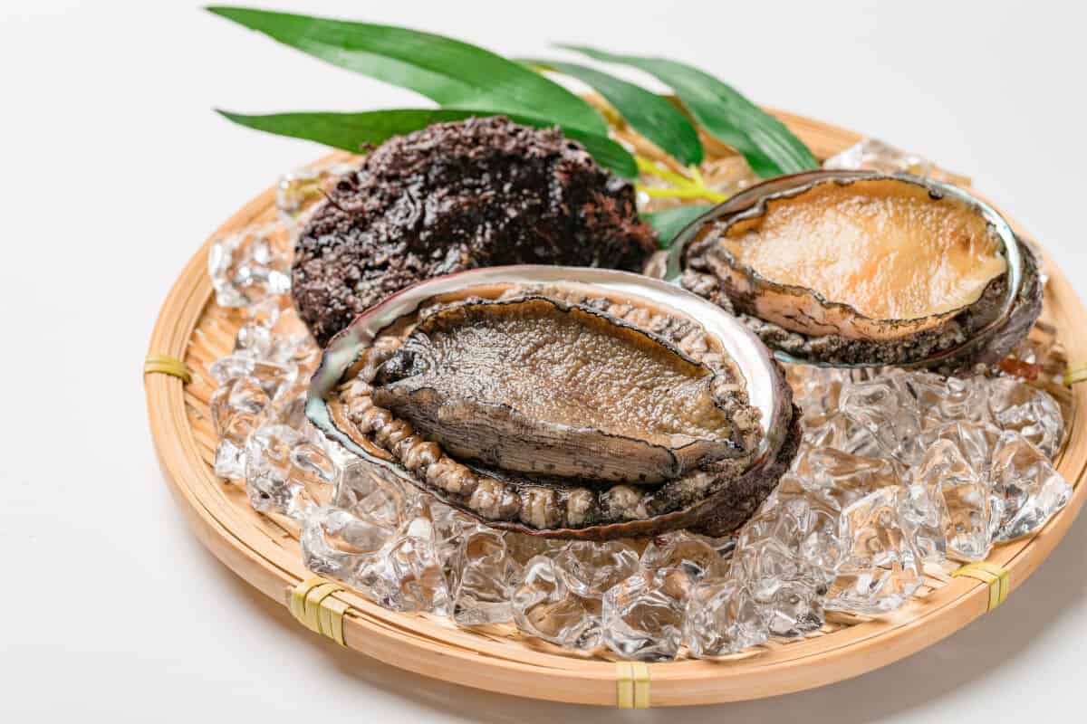 3 raw abalone sitting on ice, on a small bamboo pl.